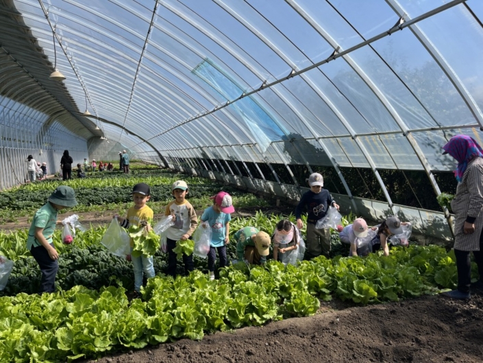 KIGA DISC 2025.09.18 - Farm (3)